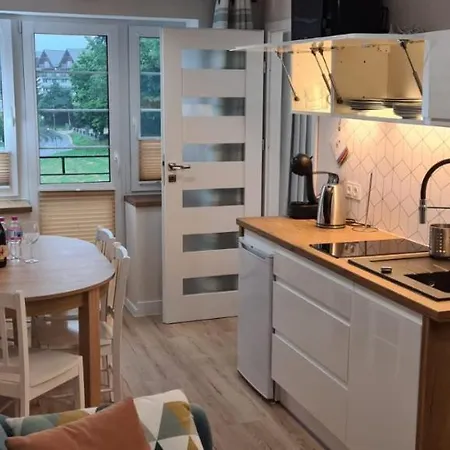 Neu Schweizerhaus 29 아파트 *