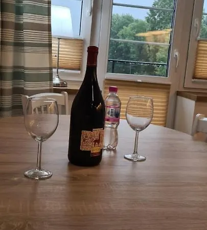 Neu Schweizerhaus 29