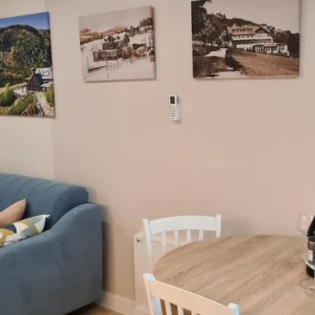 Neu Schweizerhaus 29 アパート カルパッチ